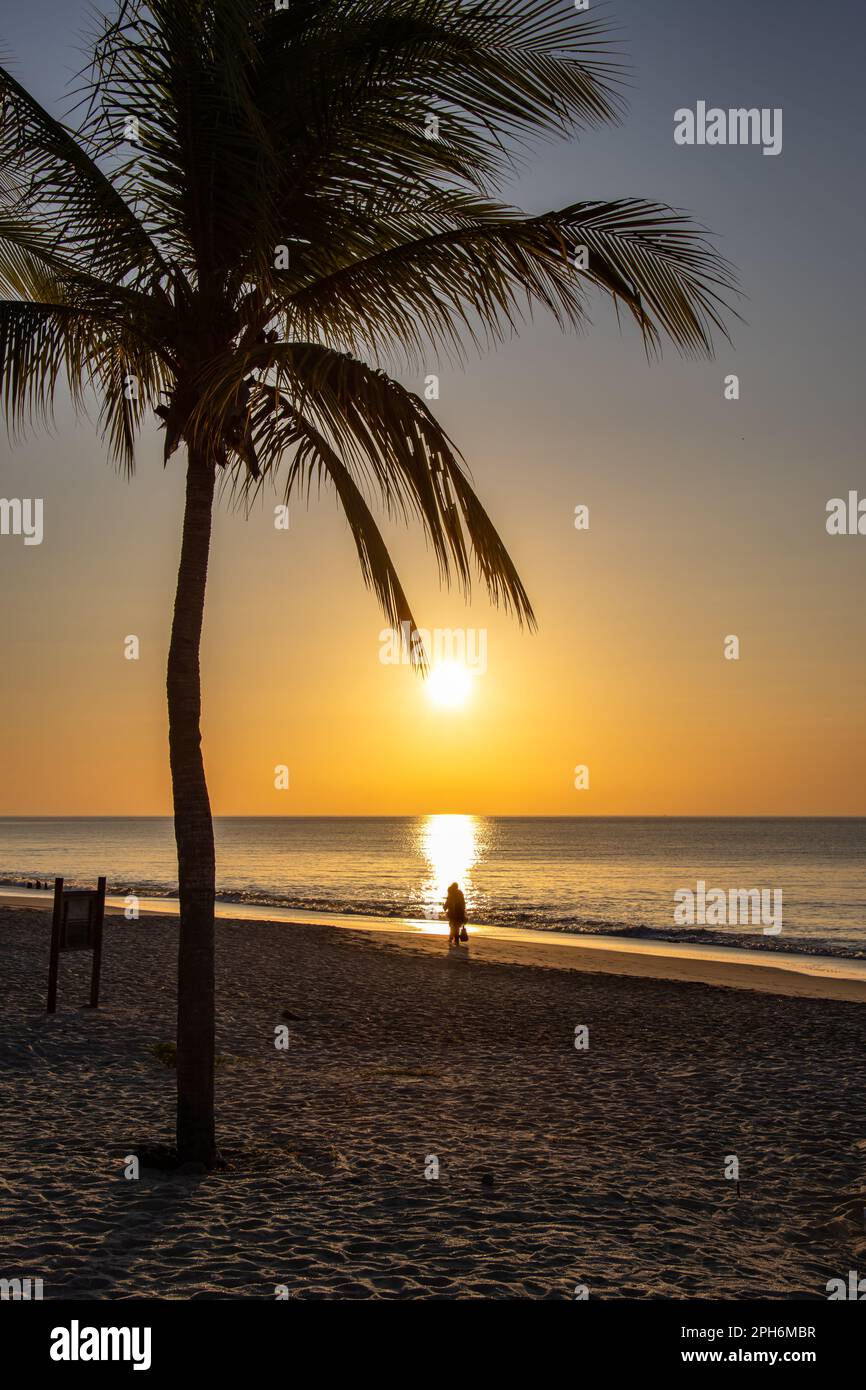 Lever du soleil sur la côte ouest de Panama.Soleil se levant derrière un cocotier avec des randonneurs sur la plage. Dominante orange. Banque D'Images