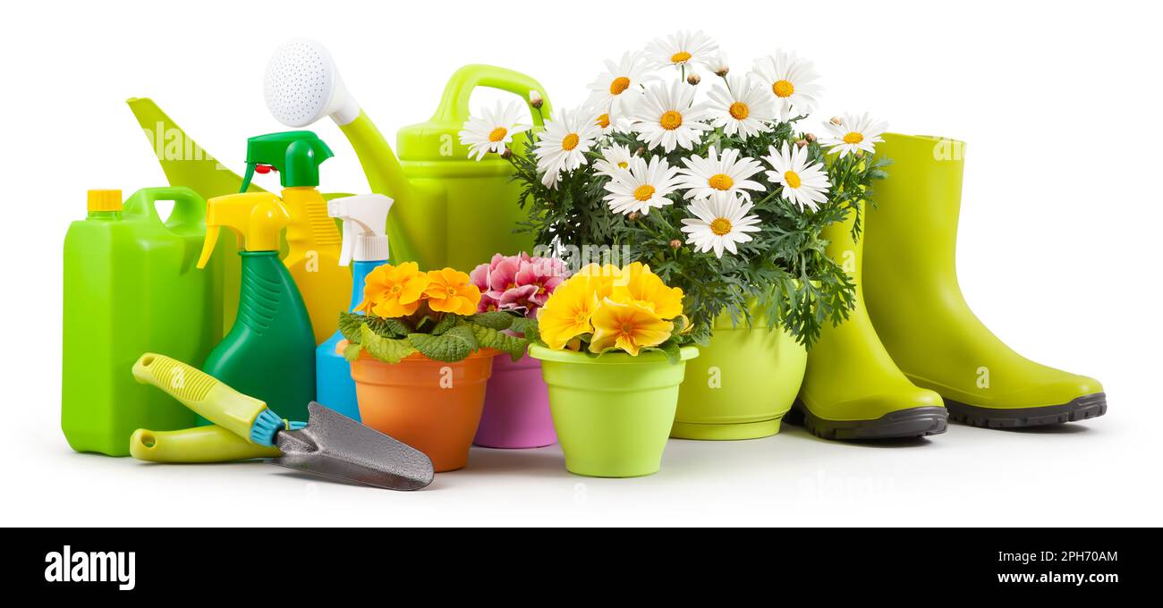 Heure de printemps, pots de primroses et de pâquerettes colorées, bottes vertes et arrosoir. Outils de jardinage, truelle, pulvérisateurs de pesticides et d'engrais i Banque D'Images