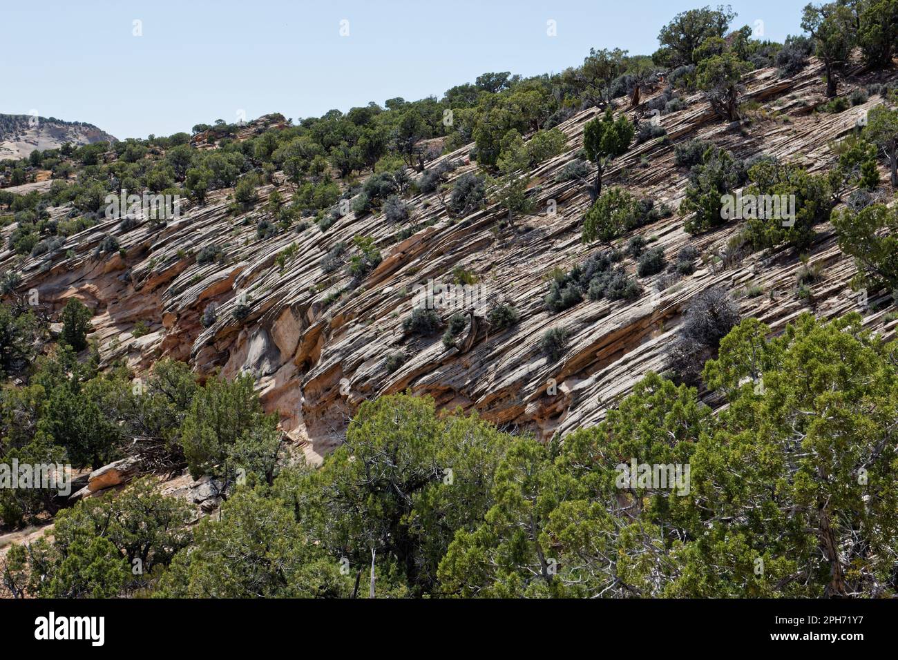 Formations rocheuses dans Dinosaur Trackway, Red Fleet State Park, Utah, États-Unis Banque D'Images