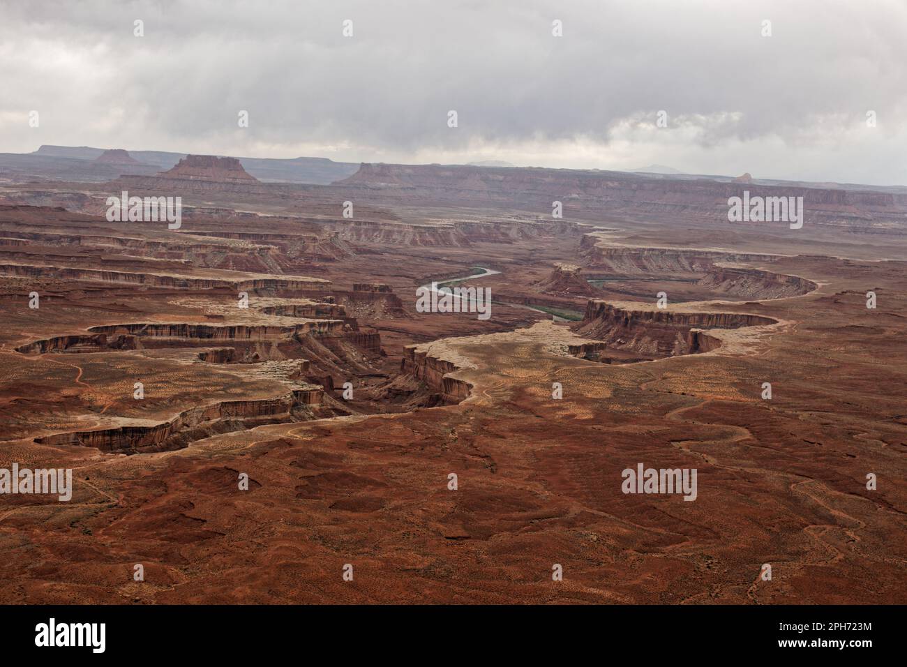 Les canyons du parc national de Canyonlands, Utah, États-Unis Banque D'Images