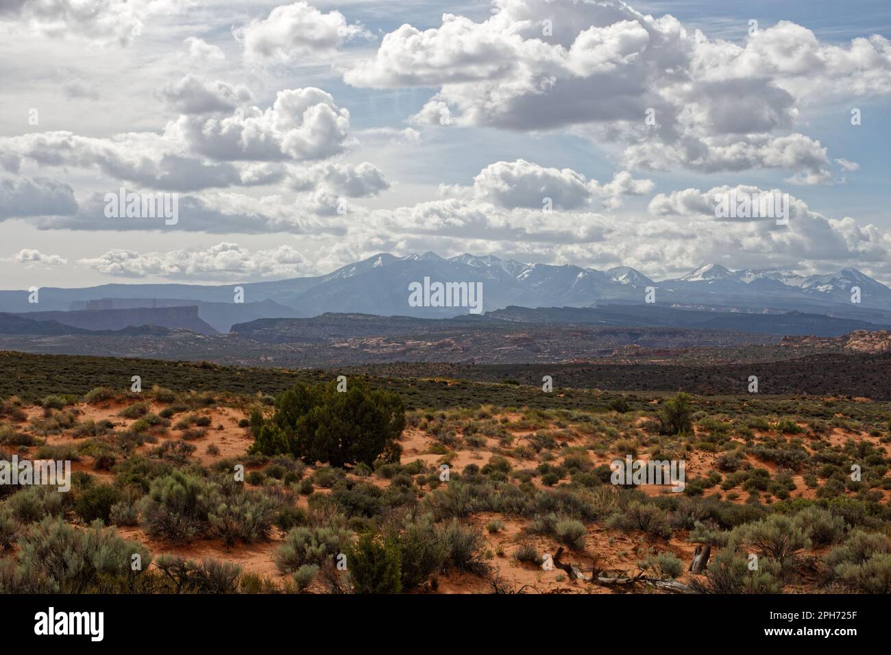Vue depuis le parc national d'Arches, Utah, États-Unis Banque D'Images