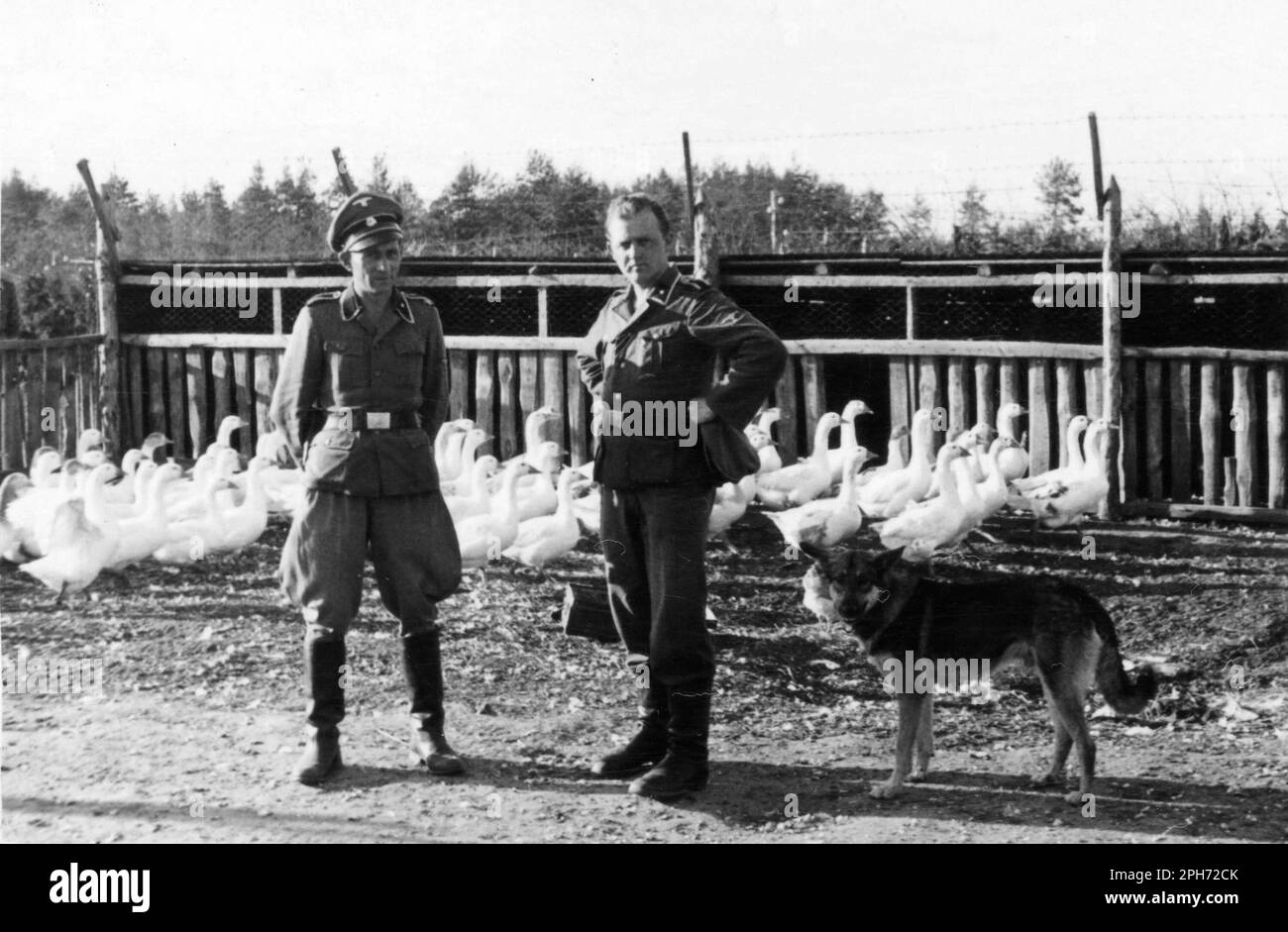 Deux officiers SS posant à Sobibor avec des oies dans le Lager II 'Erbhof'. Les oies seraient annoncées d'avant en arrière pendant les gassings puisque leurs appels ont noyé les cris. Banque D'Images