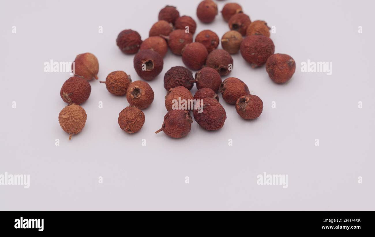 Foyer sélectif des baies séchées rosehIPS sur fond blanc isolé. Banque D'Images