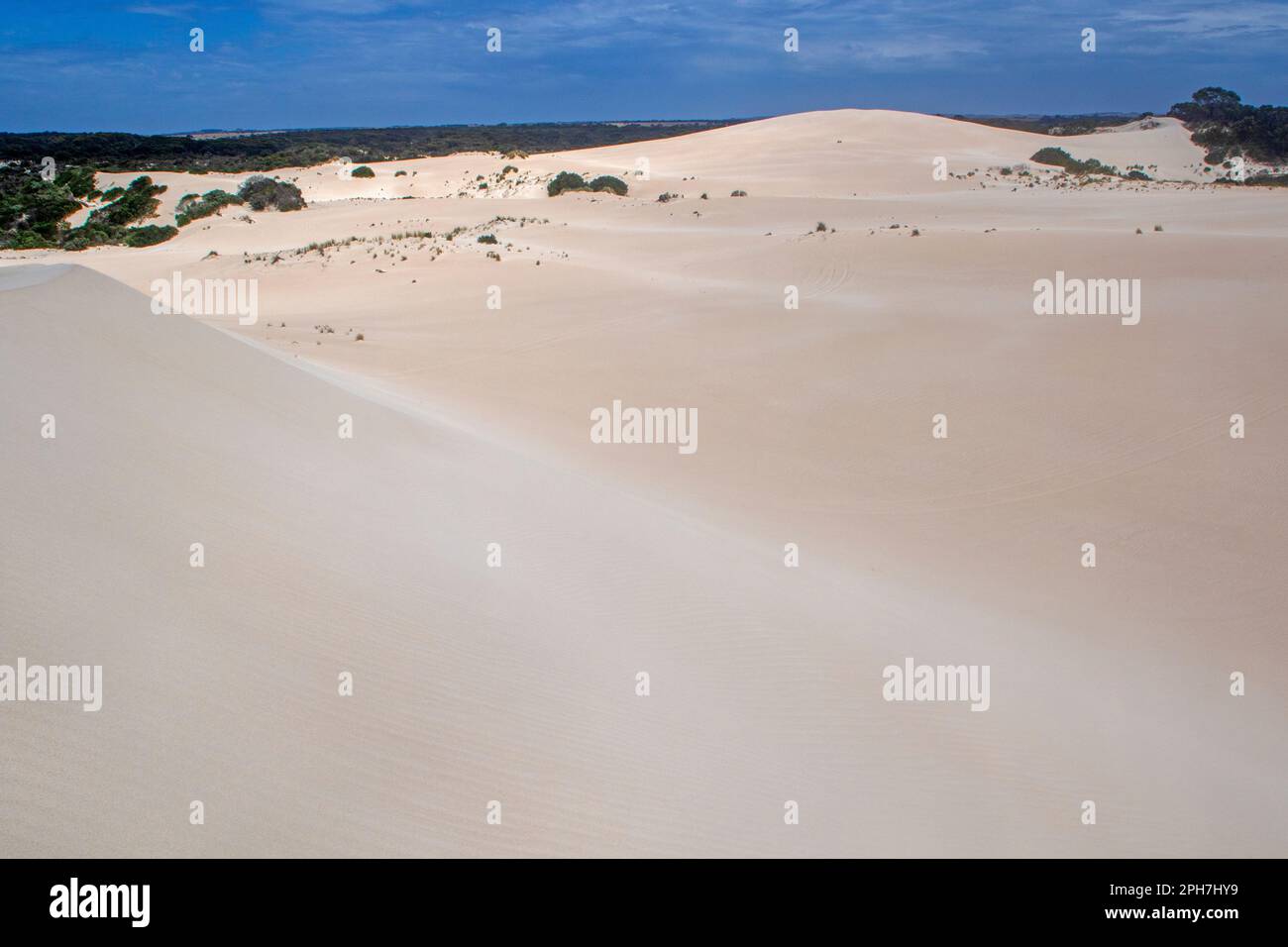 Dunes de sable à Little Sahara, Kangaroo Island Banque D'Images