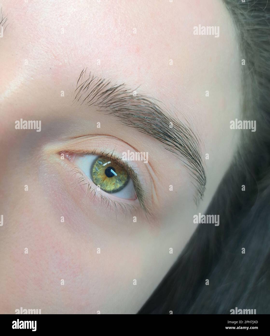 gros plan de l'oeil vert avant les extensions de cils, soin de salon de beauté. Photo de haute qualité Banque D'Images