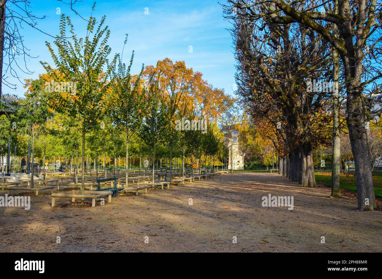 Matinée au jardin du Luxembourg, Paris, France. 24 novembre 2022. Banque D'Images