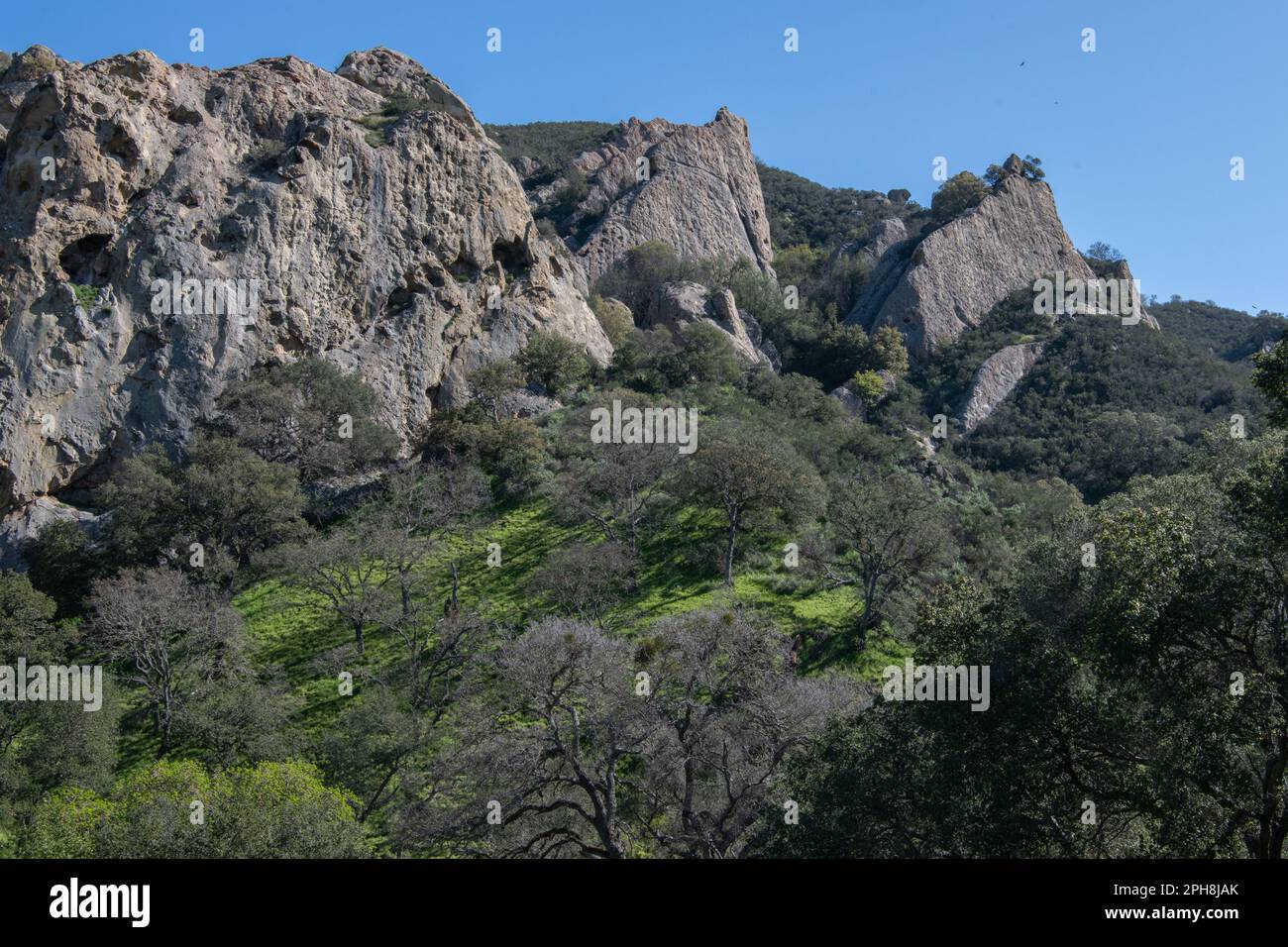 Les formations rocheuses dans la zone de loisirs régionale de la roche du château dans le parc régional de Diablo Foothills en Californie. Banque D'Images