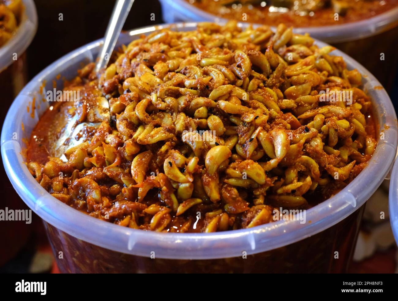 Fond de cornichon épicé fait maison indien, nourriture marinée. Banque D'Images