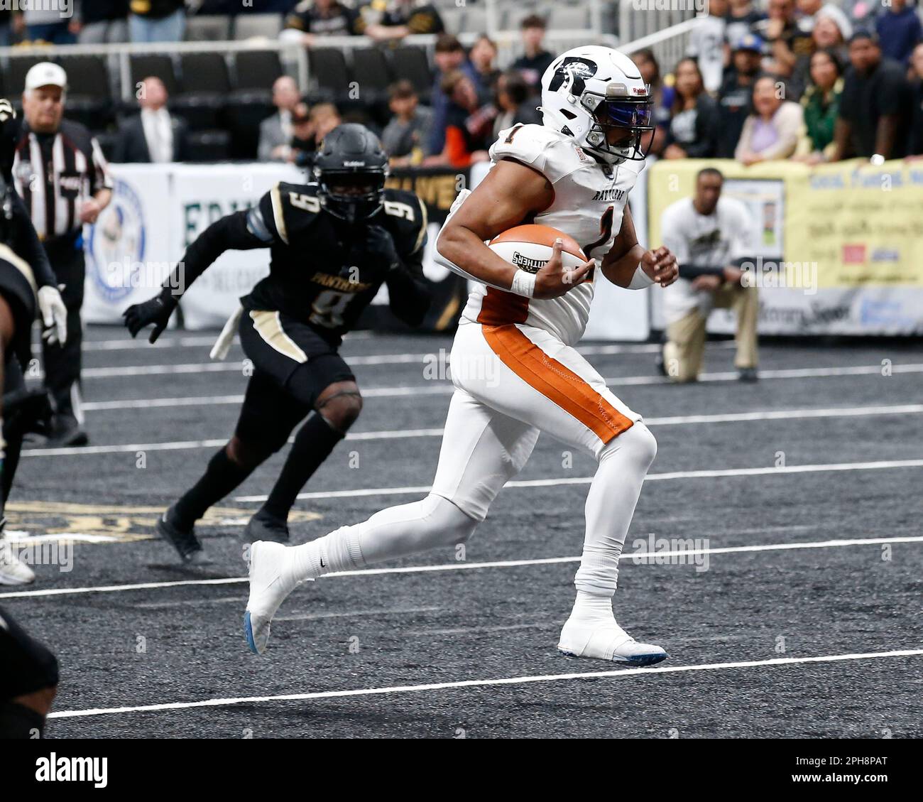 San Jose, Californie, États-Unis. 26th mars 2023. Arizona Rattlers Quarterback DREW POWELL (1) joue le ballon contre les Bay Area Panthers dans leur jeu IFL (Indoor football League) au SAP Center de San Jose. Les Panthers battent les Rattlers 47-46. (Credit image: © David G. McIntyre/ZUMA Press Wire) USAGE ÉDITORIAL SEULEMENT! Non destiné À un usage commercial ! Banque D'Images