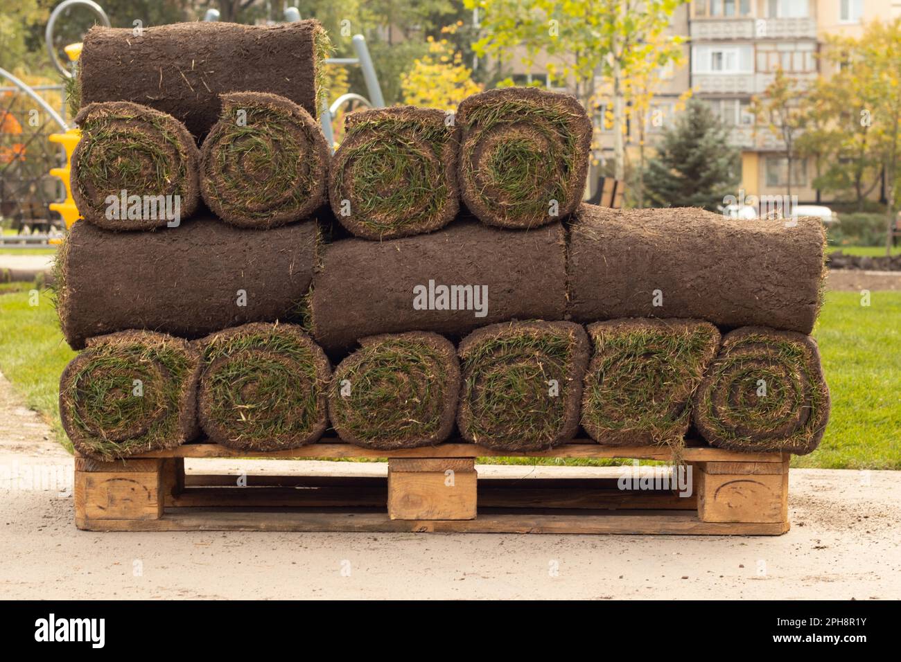 pose de l'herbe verte neuve dans le parc, aménagement paysager du parc Banque D'Images