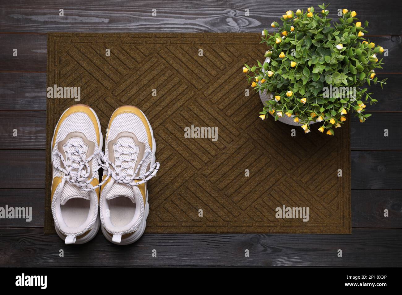 Nouveau tapis de porte propre avec chaussures et plante sur parquet noir, vue de dessus Banque D'Images