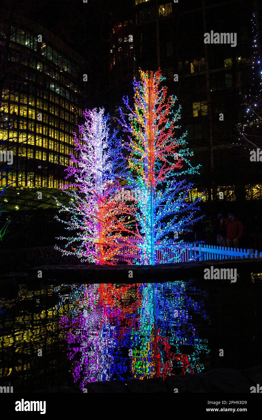 Fluorescent Firs at Canary Wharf Winter Lights, Jubilee Park, Londres, Royaume-Uni Banque D'Images