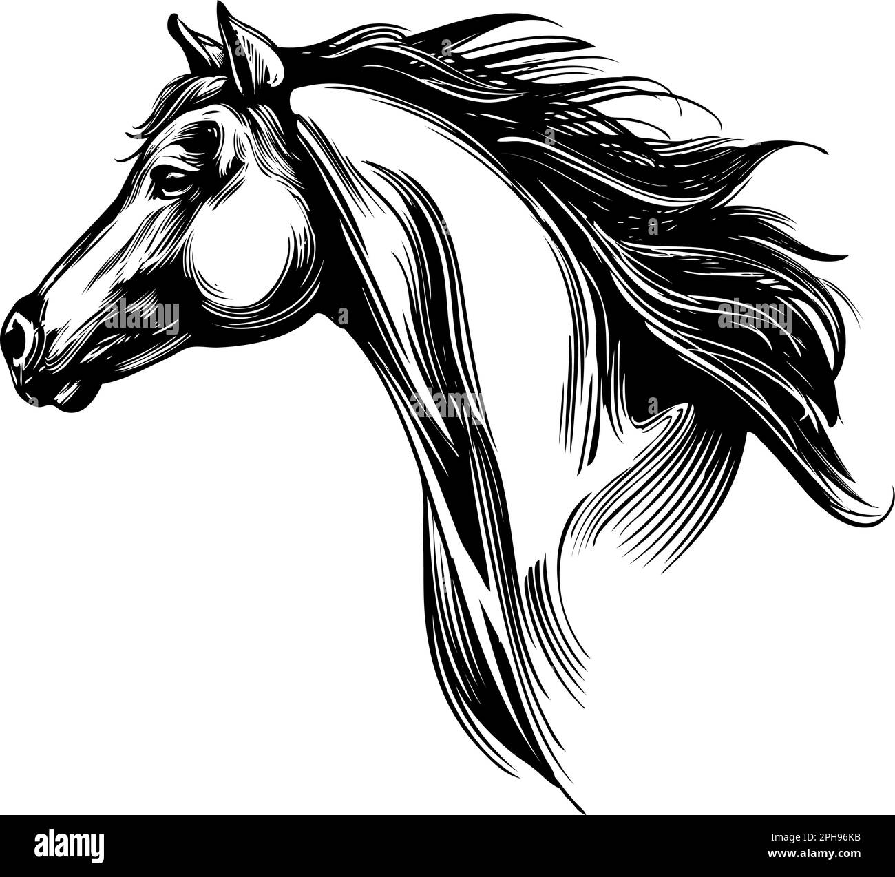 cheval, logo de la tête de cheval, dessin vectoriel à la main croquis réaliste. Illustration de Vecteur