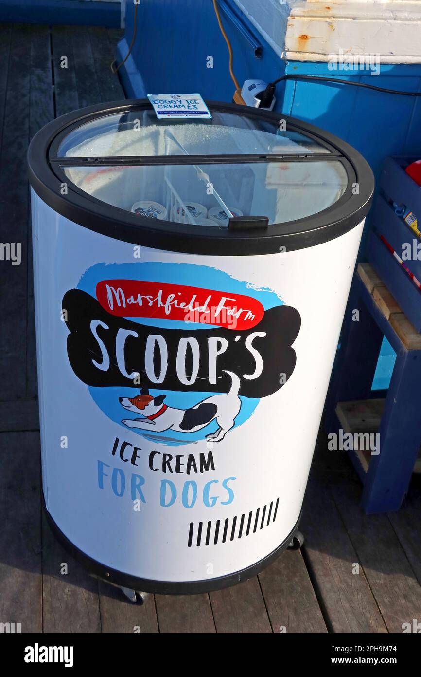 Marshfield Farm Scoops, crème glacée pour chiens, dans un réfrigérateur, jetée de Llandudno, nord du pays de Galles, Royaume-Uni, LL30 2LP Banque D'Images