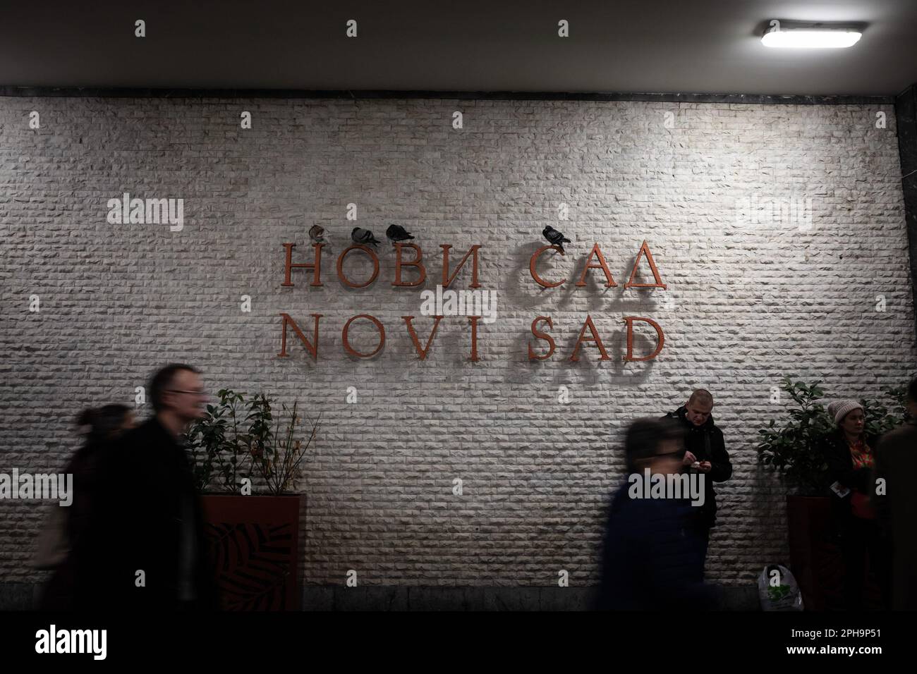 Photo de la signalisation Novi Sad dans la gare de Novi Sad, Serbie, avec des passagers se précipitant et des pigeons debout sur la signalisation la nuit. Banque D'Images