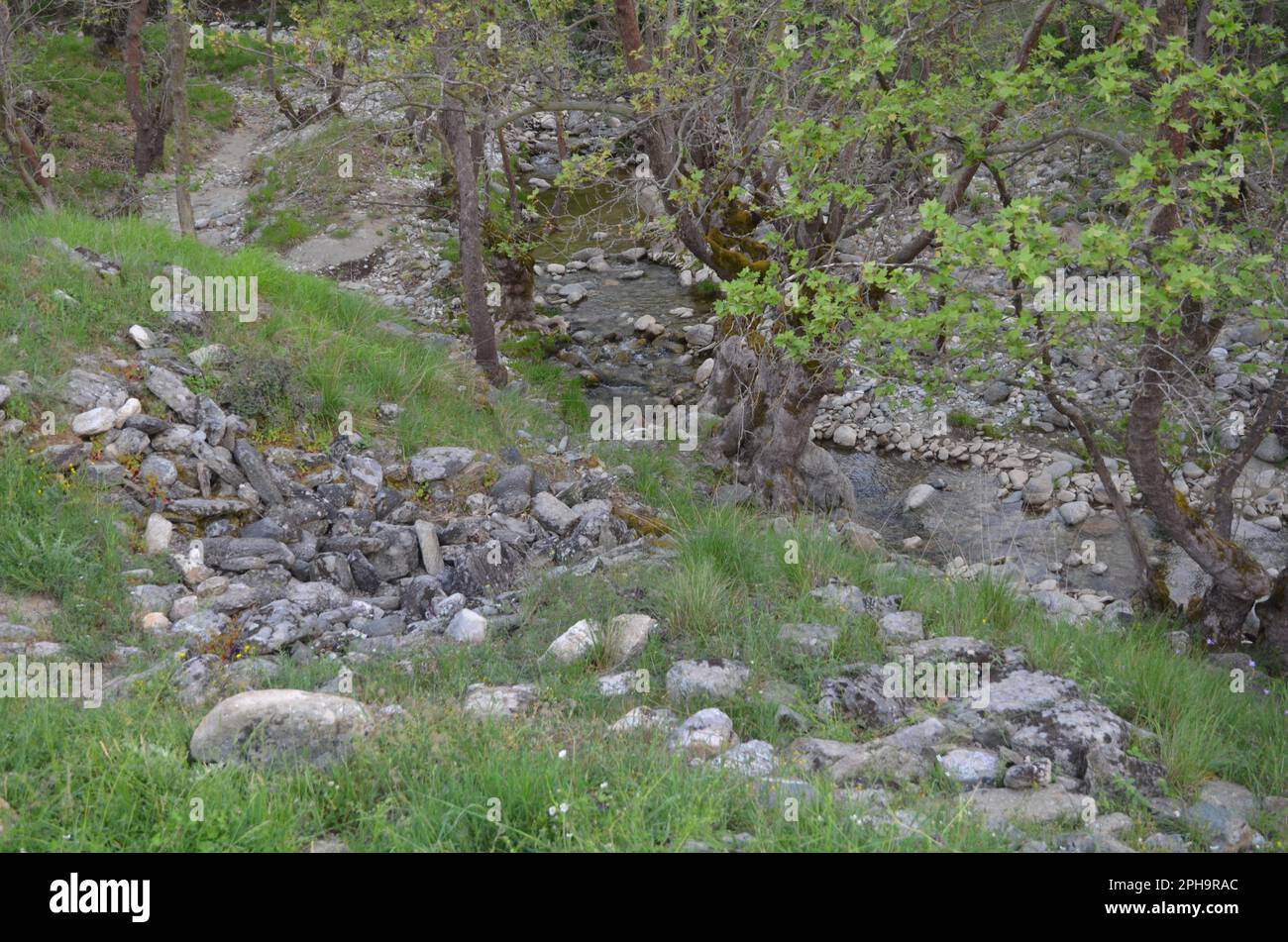 Grèce, Thessalie, Larisa, Elassona_Flampouro village_Old Watermill area Banque D'Images