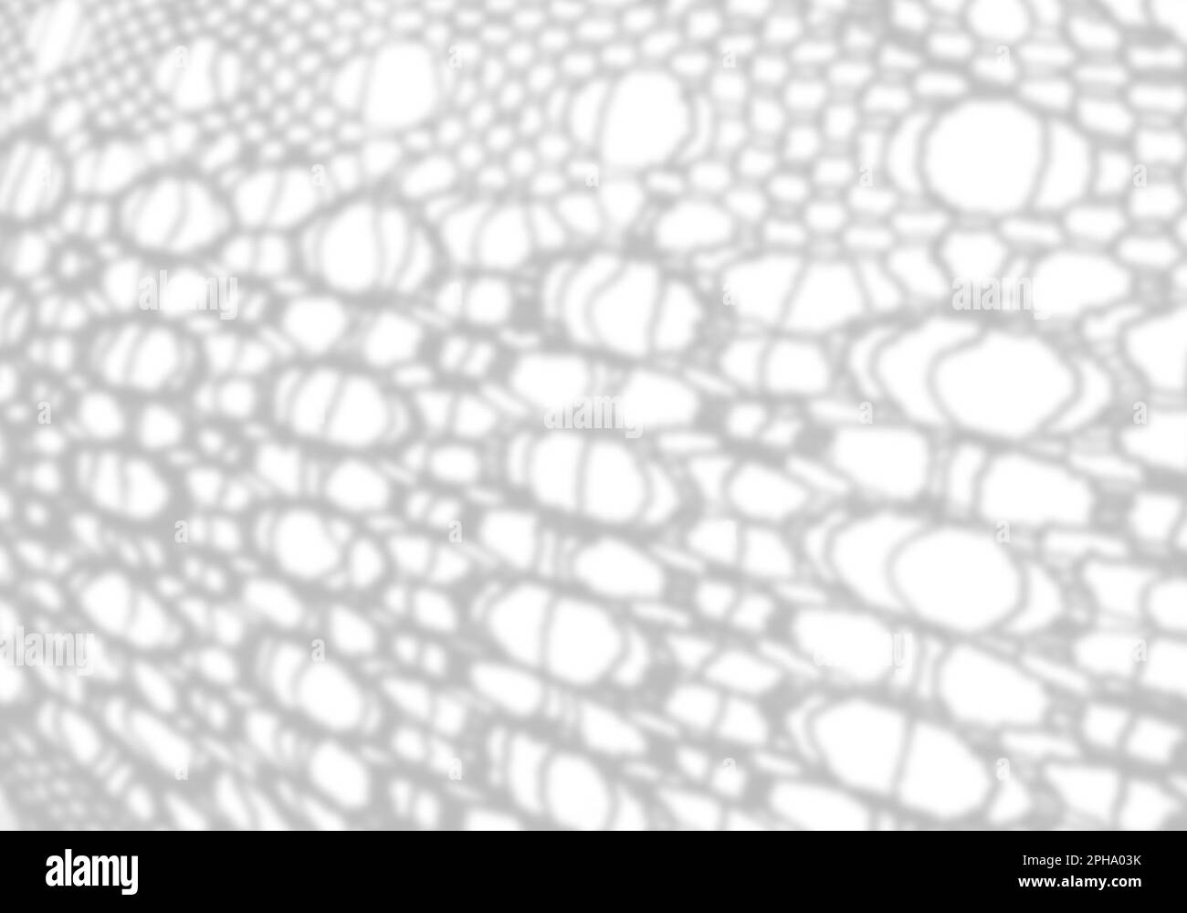 L'ombre d'un tissu de dentelle sur un mur blanc. Dentelle. Image en noir et blanc pour la superposition ou la mise en page des photos. Banque D'Images