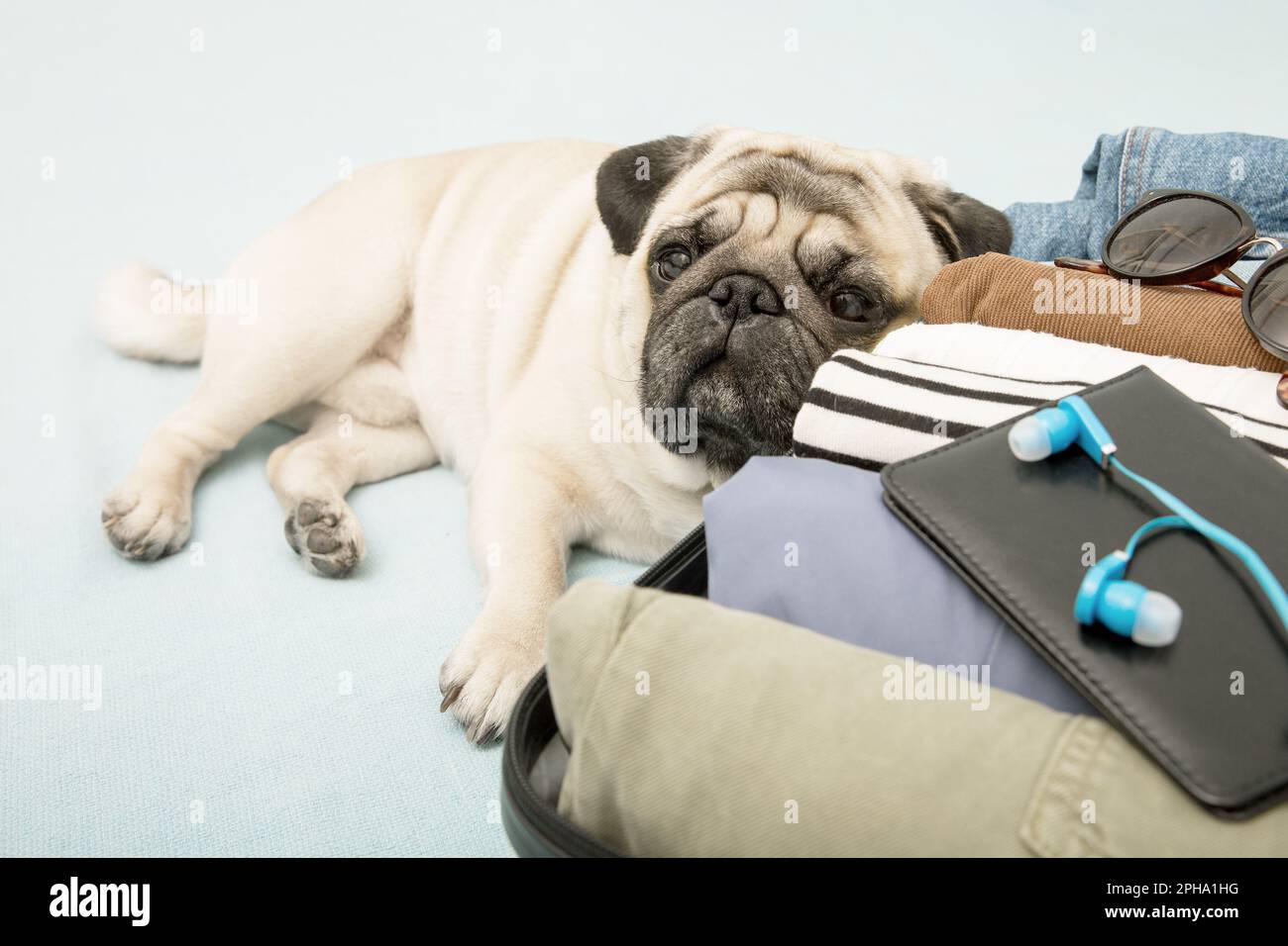 Un chien beige se trouve tristement près d'une valise avec des vêtements, attendant que les propriétaires partent en vacances ou en voyage. Banque D'Images