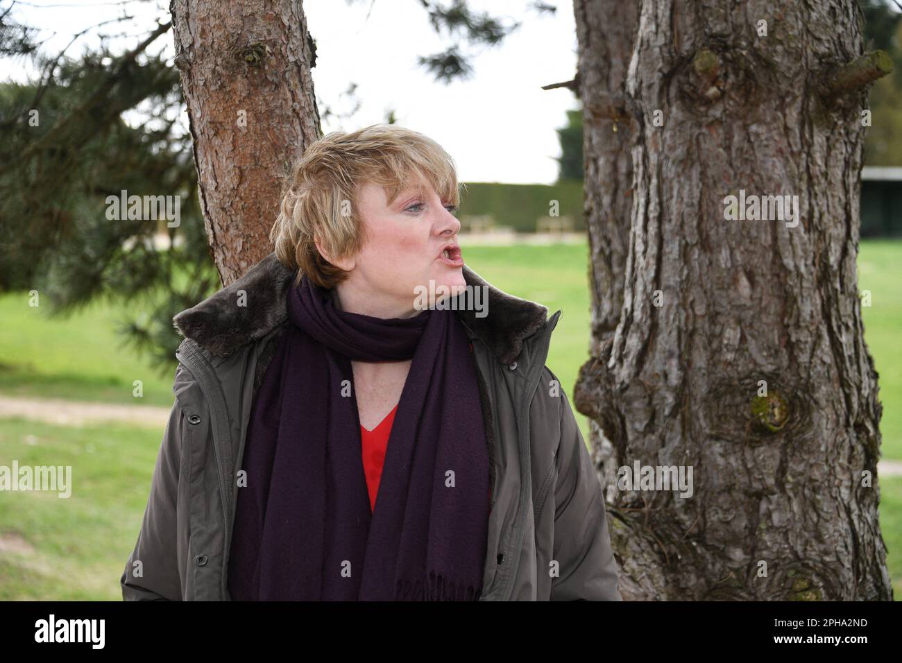 Villeneuve-sur-Aisne, France. 25th mars 2023. Alison Arngrim, qui joue Nellie Oleson dans « petite maison sur les Prairies », fait la promotion de son nouveau spectacle, Nellie Oleson allume le 80s à Villeneuve-sur-Aisne, en France, sur 25 mars 2023. Photo de Lionel Urman/ABACAPRESS.COM crédit: Abaca Press/Alay Live News Banque D'Images