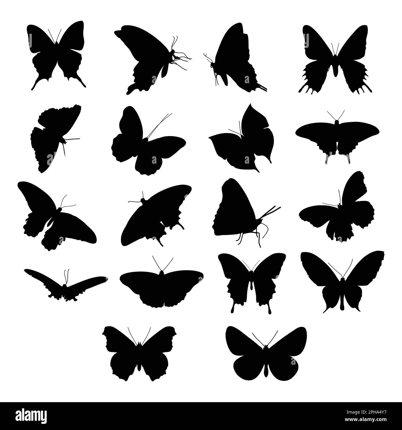 motif papillons sur fond blanc silhouette d'illustration vectorielle Illustration de Vecteur