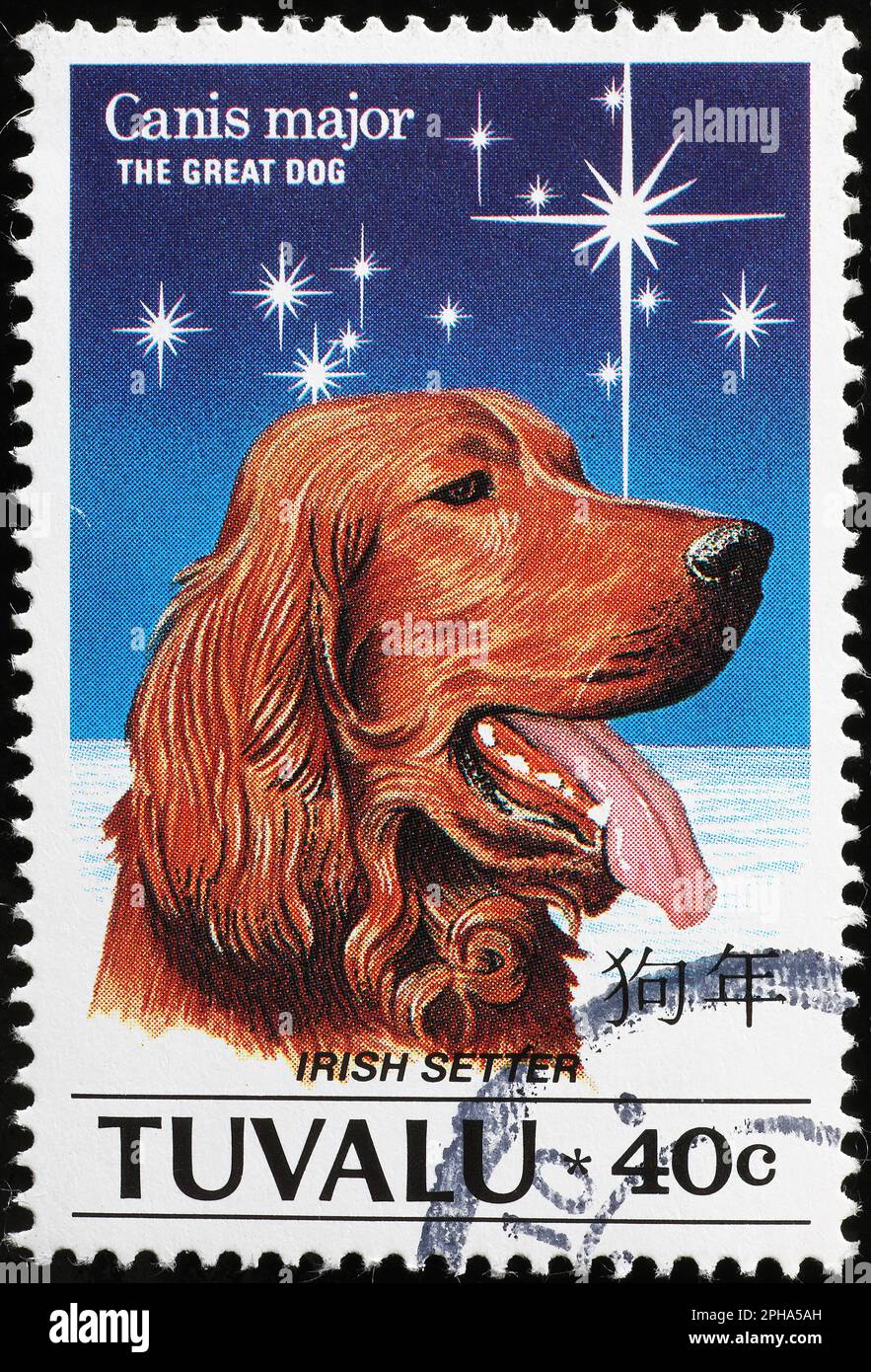 Portrait de la poseuse irlandaise sur timbre-poste Banque D'Images