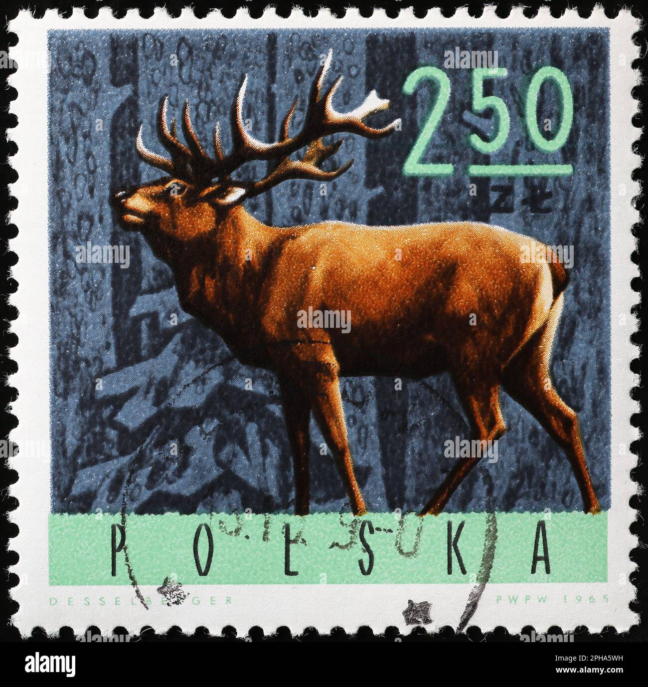Un énorme cerf sur un timbre-poste à polir Banque D'Images