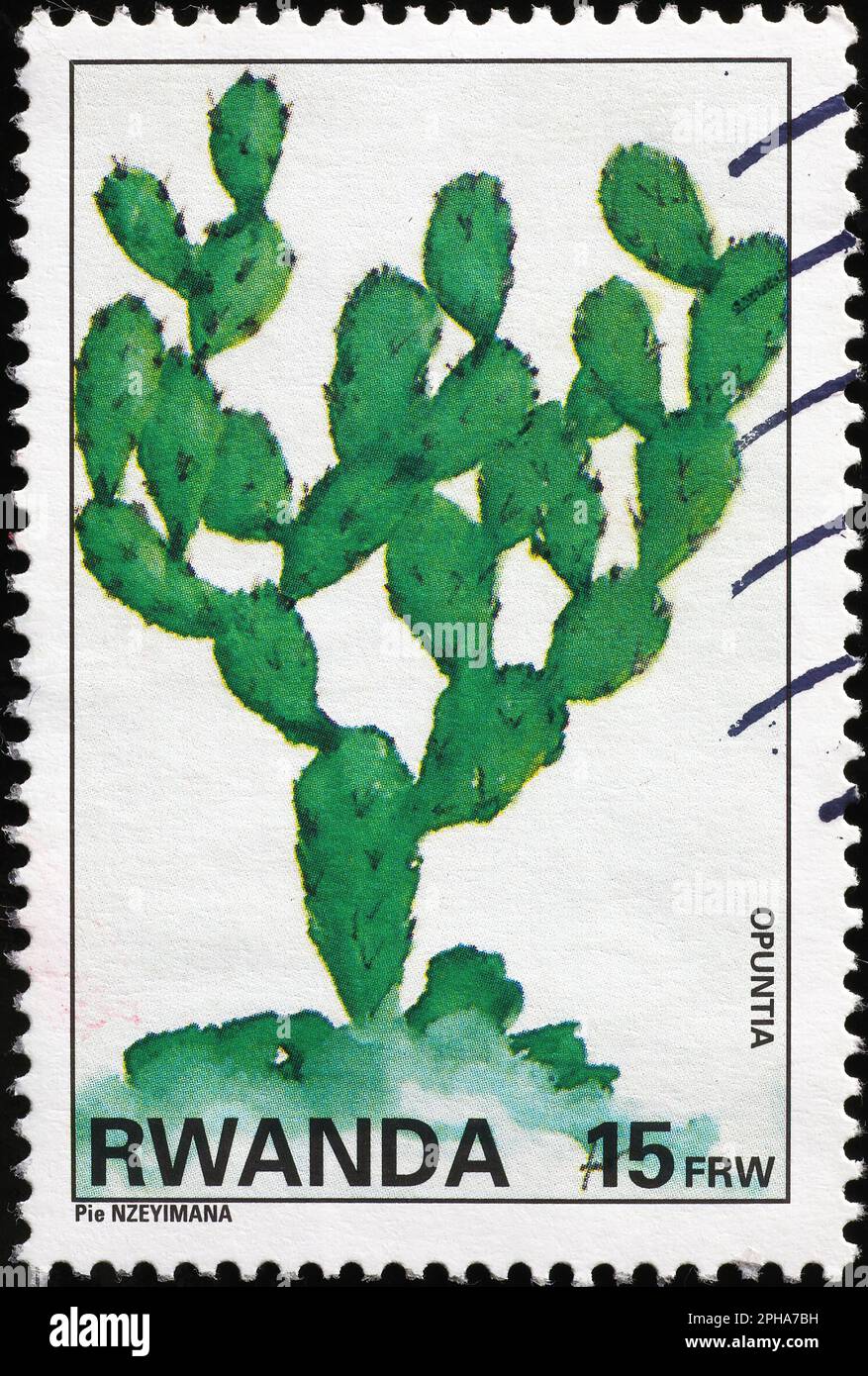 Poire pirickly sur le timbre-poste du Rwanda Banque D'Images
