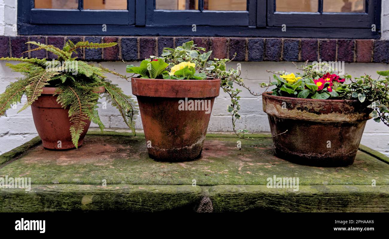 Pot de jardin rustique dans village rural - idées de jardin et petit jardin design Banque D'Images