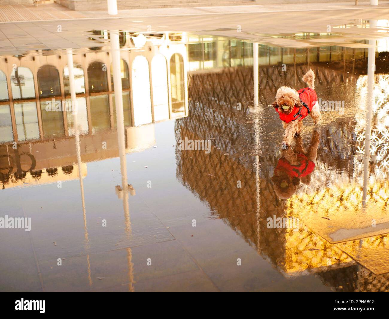 Visite de Birmingham, Royaume-Uni, Banque D'Images
