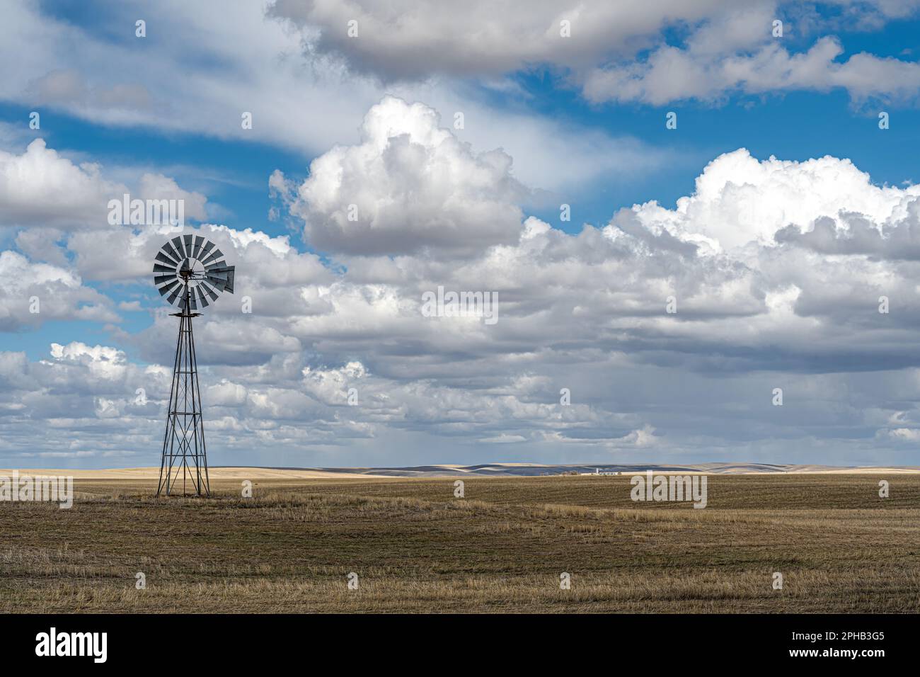 Agriculture intérieure Pacifique Nord-Ouest pays aride au printemps, WA Banque D'Images
