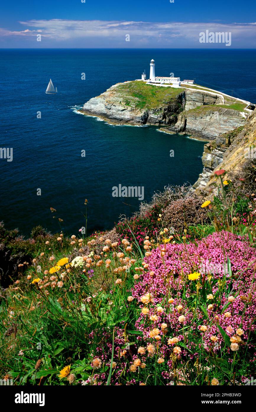 GB - NORD DU PAYS DE GALLES : Phare de la cheminée du Sud sur l'île Sainte d'Anglesey Banque D'Images