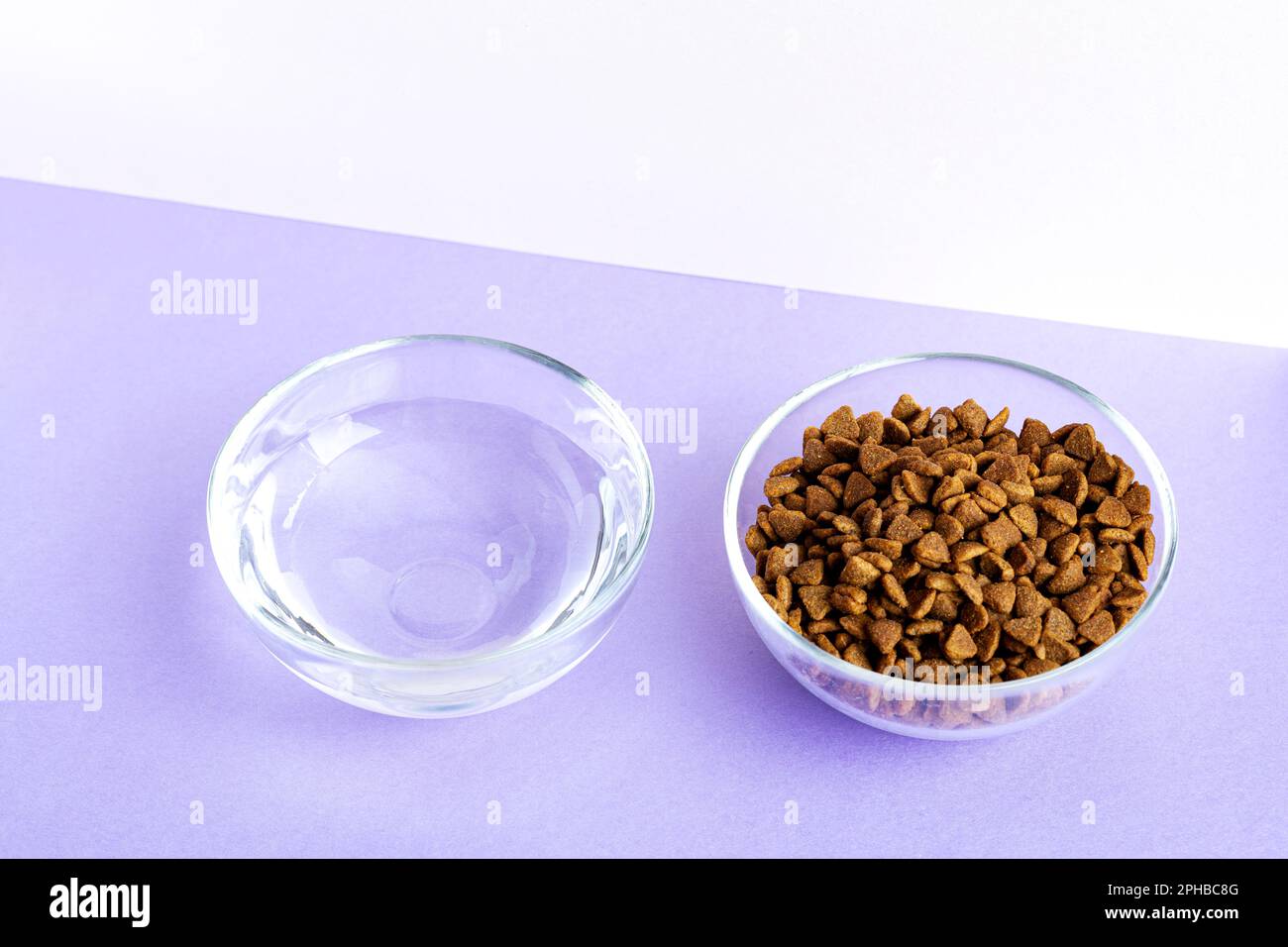 Séchez les aliments pour animaux dans un pot en verre et un bol en gros plan sur fond de lilas. Vue de dessus Banque D'Images