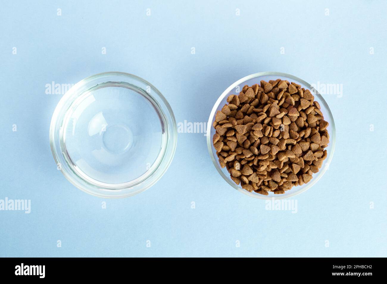 Séchez les aliments pour animaux dans un pot en verre et un bol en gros plan sur un fond bleu. Vue de dessus Banque D'Images