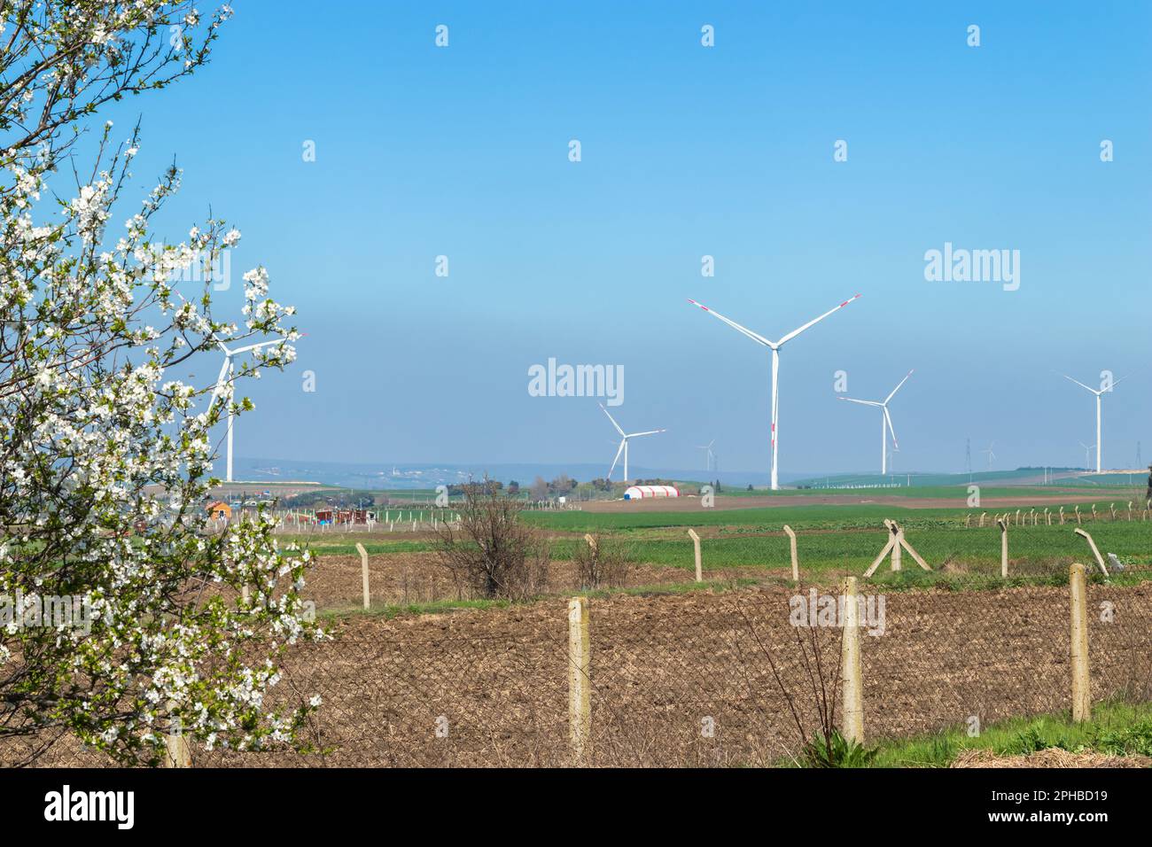 éoliennes générant de l'énergie du vent, dans la nature, ciel bleu clair Banque D'Images