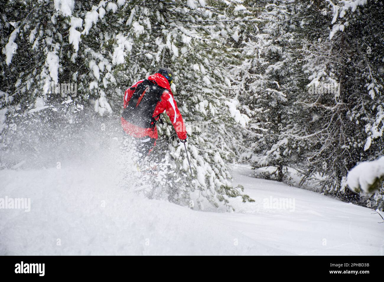 Skieur unique ski de neige fraîche, hors piste à travers les arbres dans une tempête de neige, Europe Banque D'Images