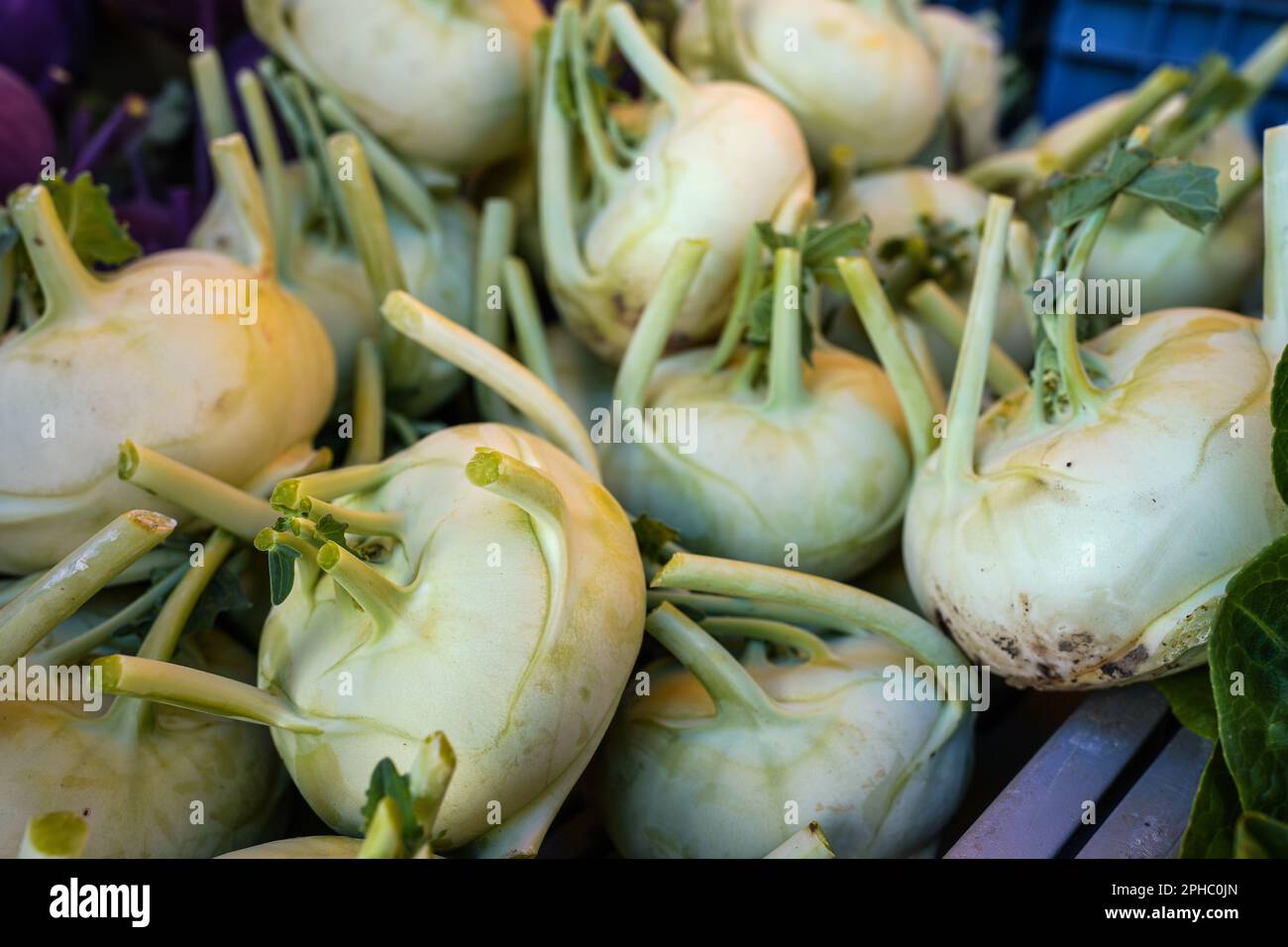 Kohlrabi ou navet allemand exposé sur le marché des fruits et légumes de rue Banque D'Images