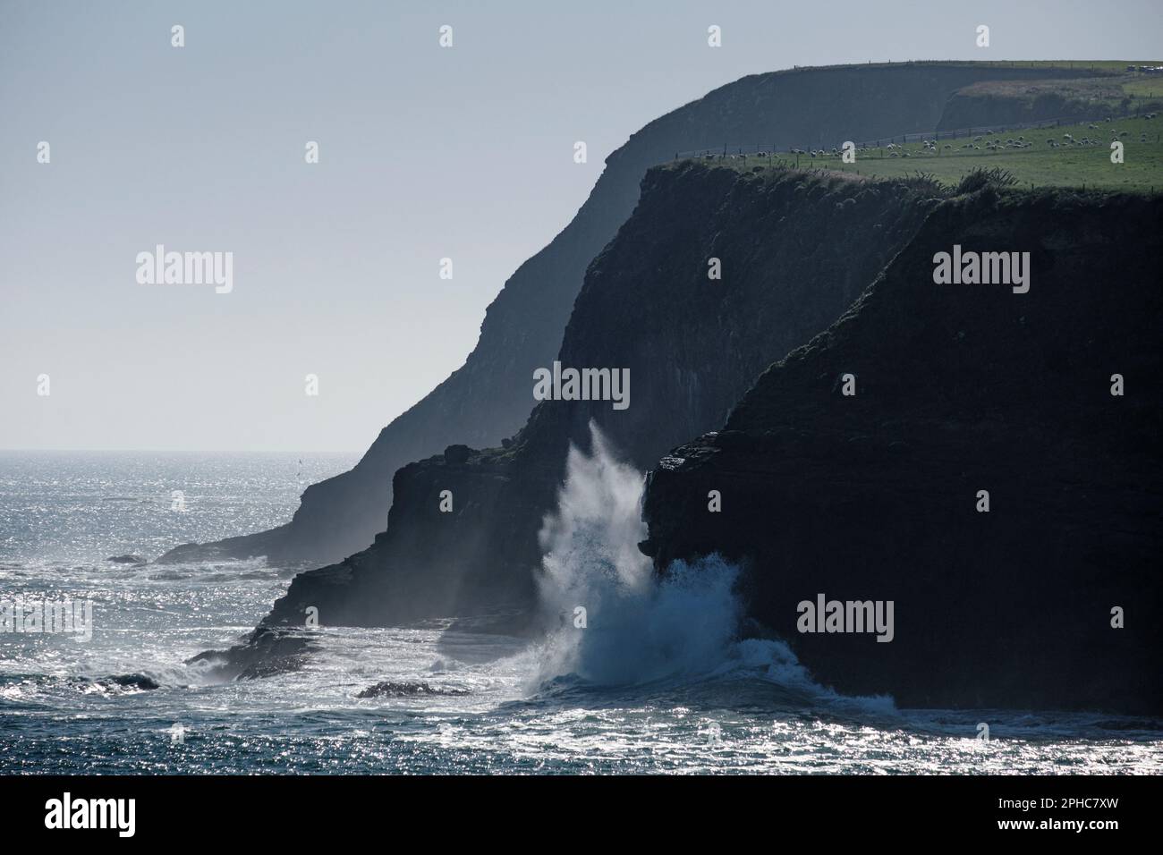 Une mer orageux sur la côte sauvage de la baie de Curio dans les Catlins, Île du Sud, Nouvelle-Zélande Banque D'Images