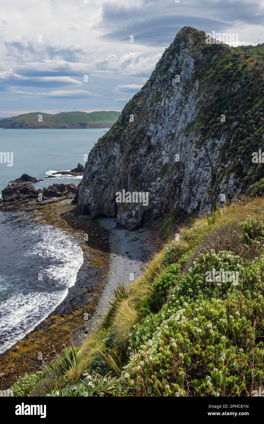 Nugget point, les Catlins, Île du Sud, Nouvelle-Zélande Banque D'Images