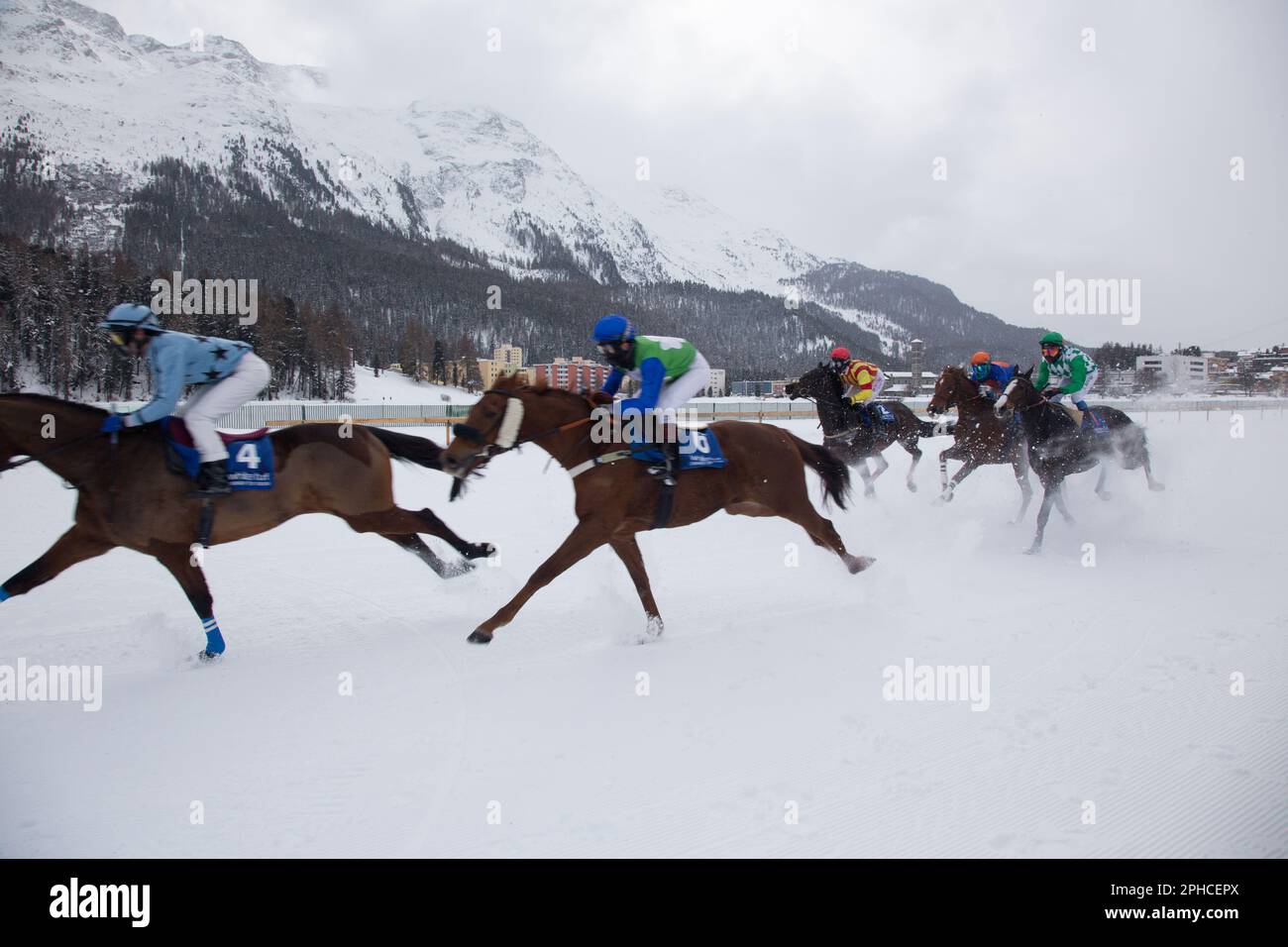 Chevaux en course dans le circuit de course de White Turf à St Moritz Banque D'Images