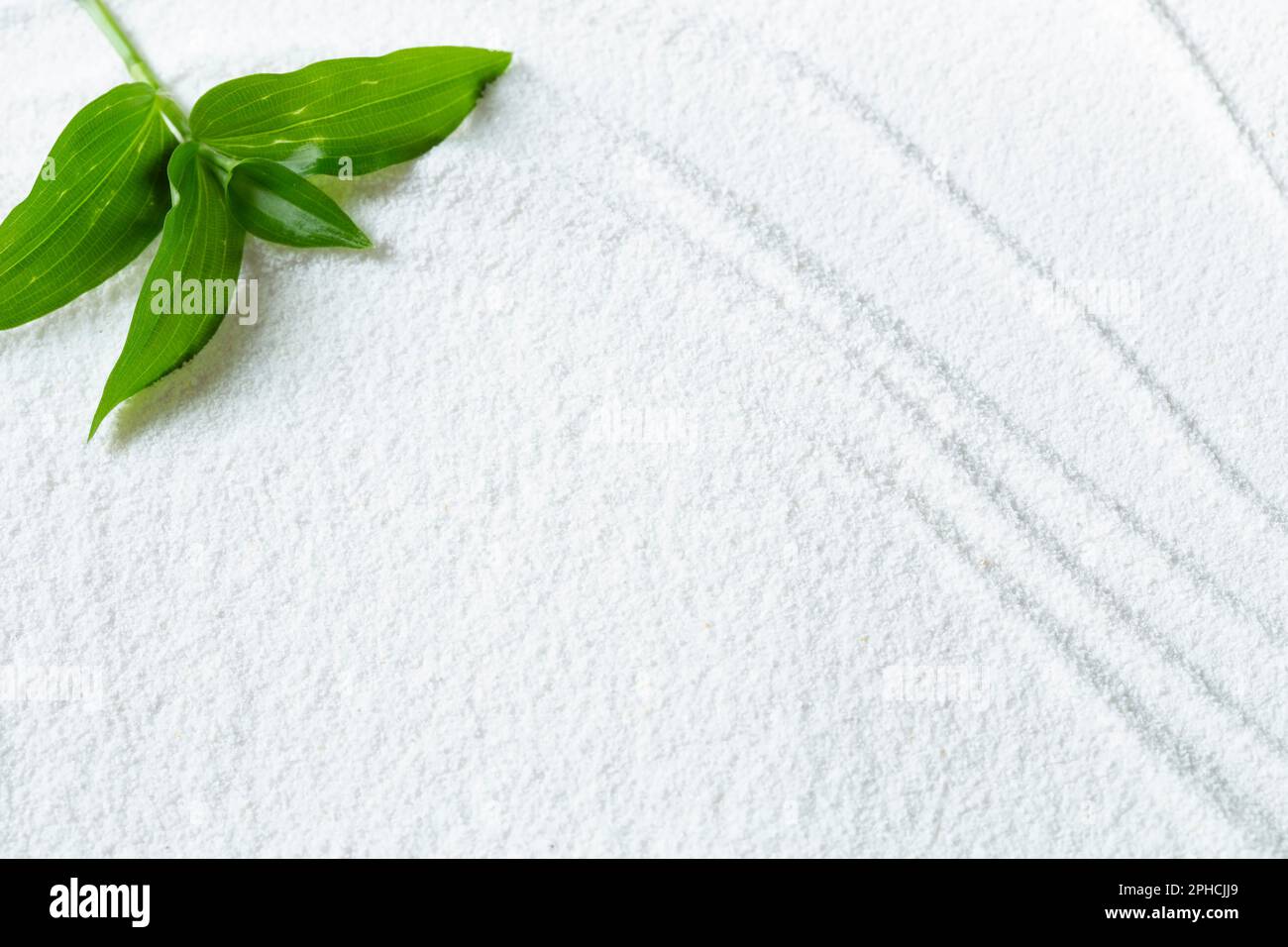 Feuilles vertes sur un motif de sable blanc Banque D'Images