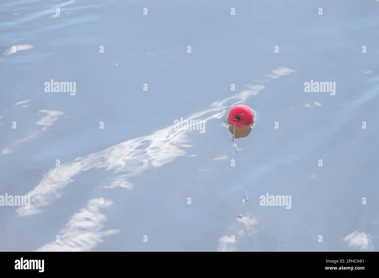 Concept de pêche avec bouée de pêche dans l'eau avec ligne, lumière naturelle. Banque D'Images
