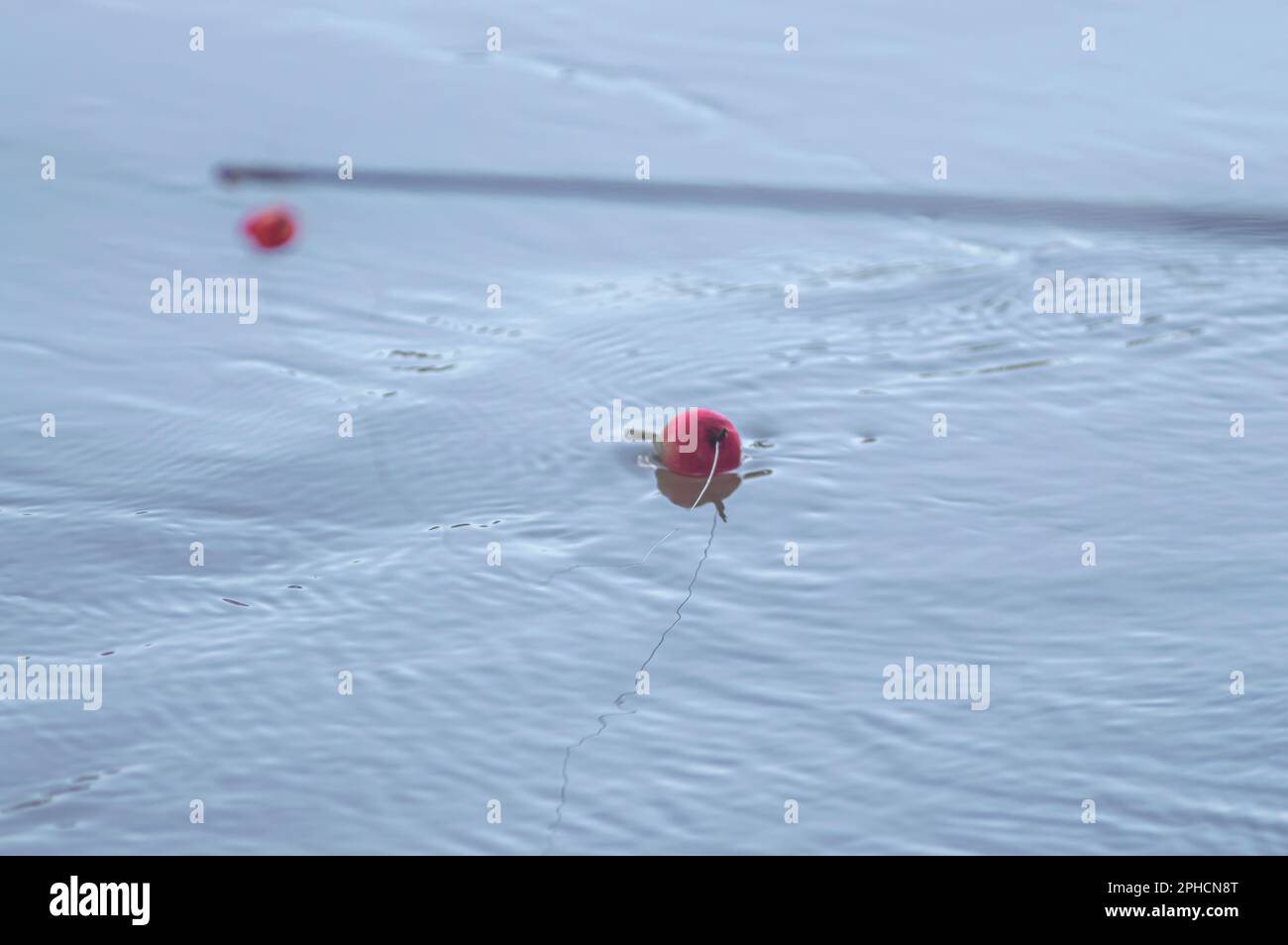 Concept de pêche avec bouée de pêche dans l'eau avec ligne, lumière naturelle. Banque D'Images