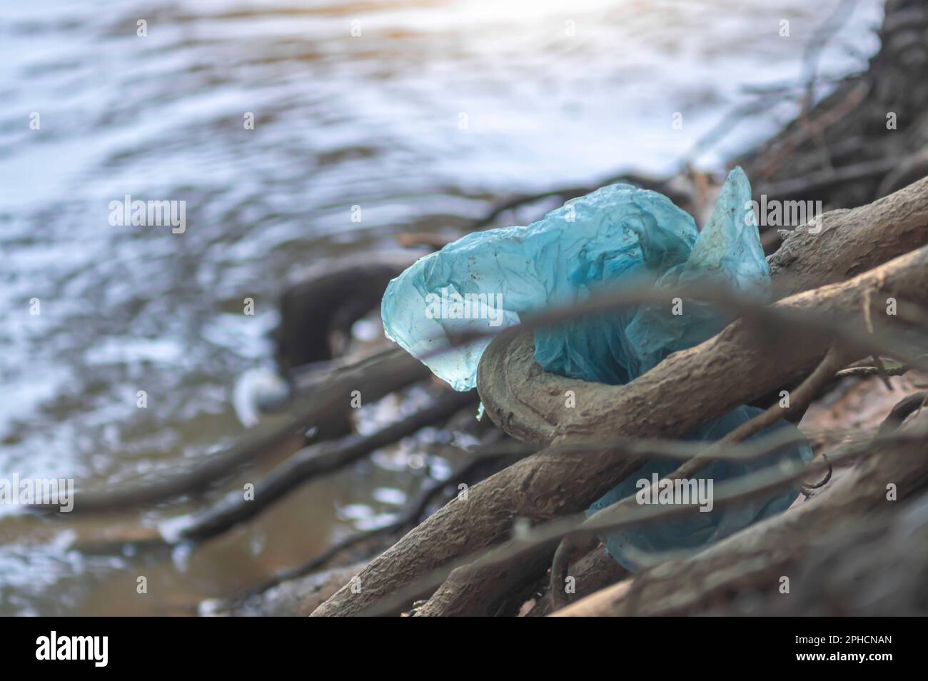 Sac en plastique collé sur le bord d'une rivière, concept de pollution de la nature, déchets dans la nature, copier l'espace sur la gauche. Banque D'Images