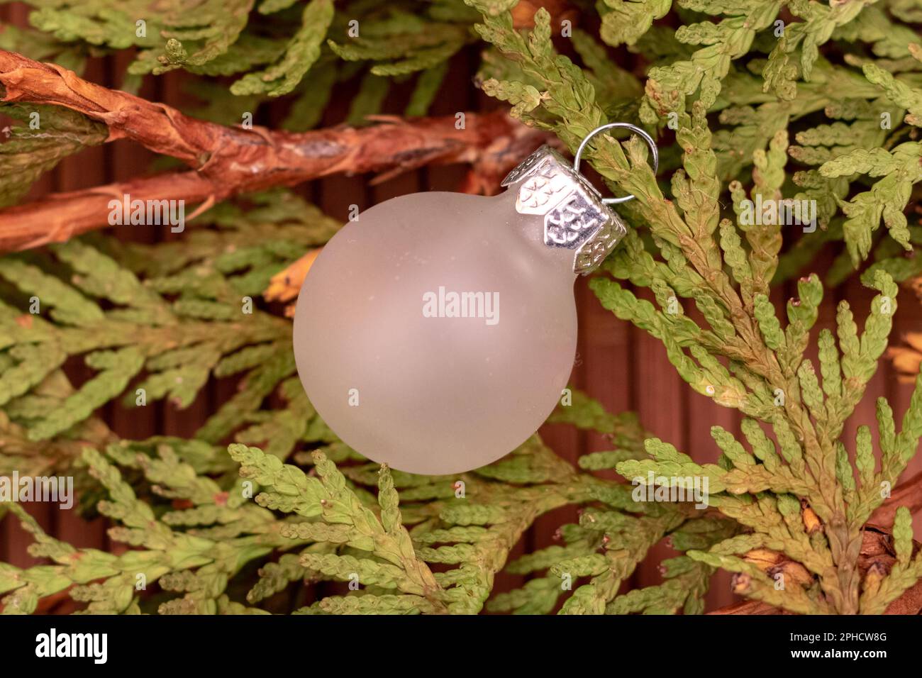 Ornement de Noël en verre givré sur les branches vertes – décoration de vacances naturelle Banque D'Images