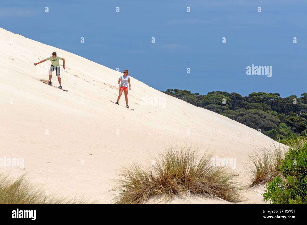 Surf sur sable à Little Sahara, Kangaroo Island Banque D'Images