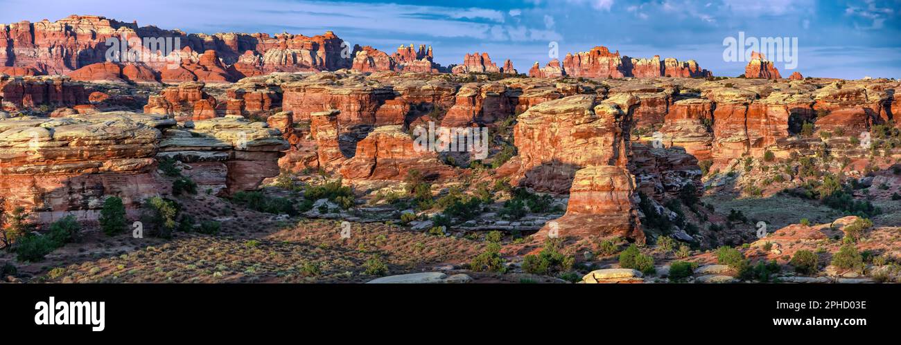 The Needles, monument national de Canyonlands (région sud) Utah Banque D'Images