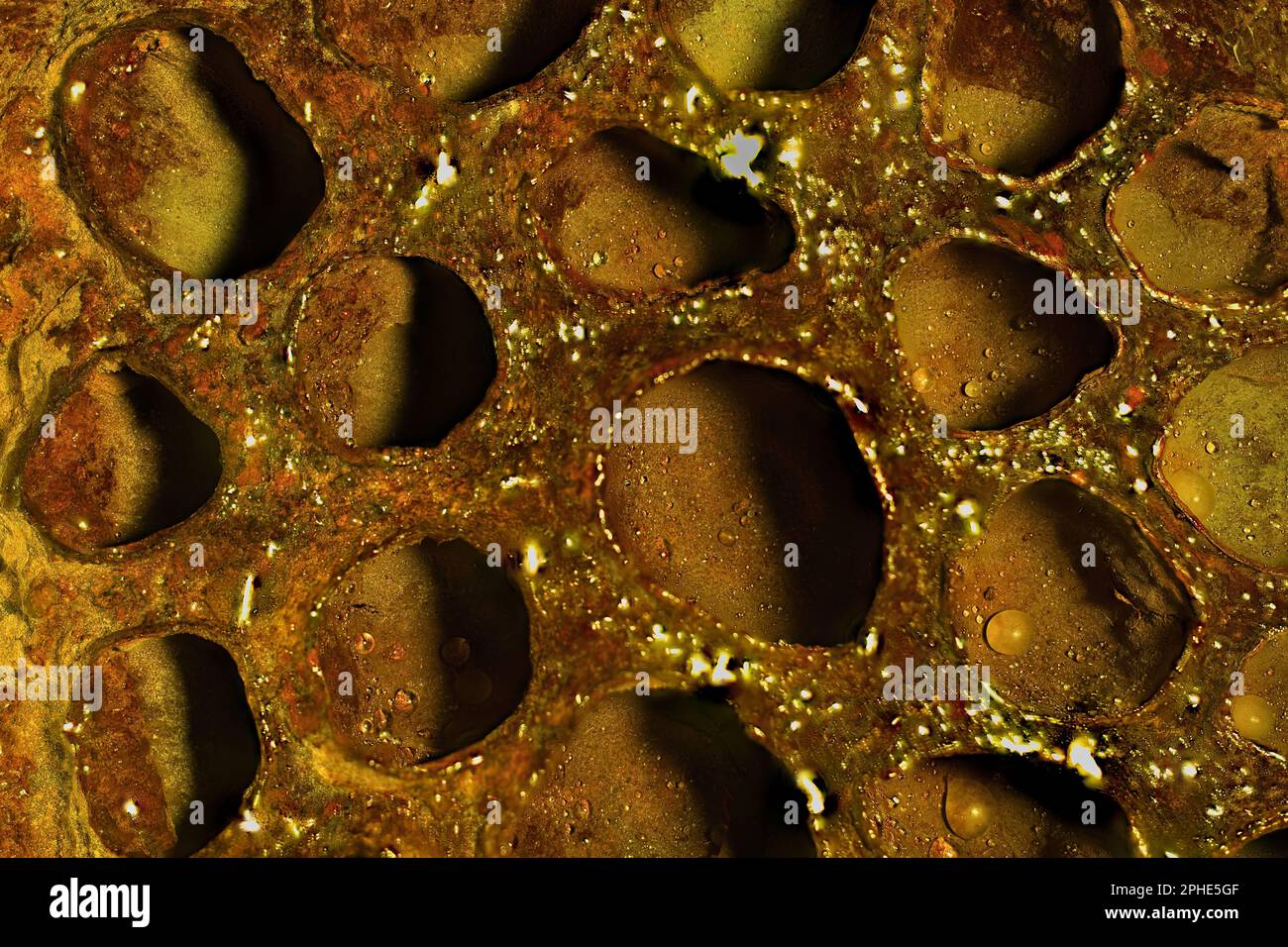 Vue d'une structure métallique humide avec des surfaces et des ouvertures corrodées Banque D'Images