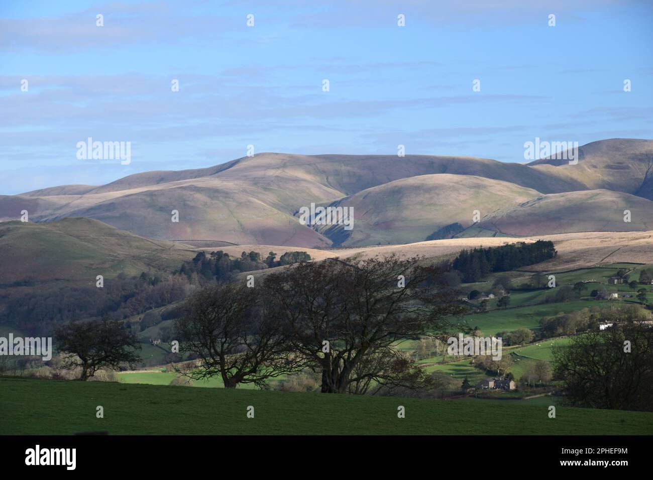 Une belle promenade à travers et au-dessus de Dent dale dans les Dales de l'ouest du Yorkshire, lors d'une journée de printemps claire. Banque D'Images