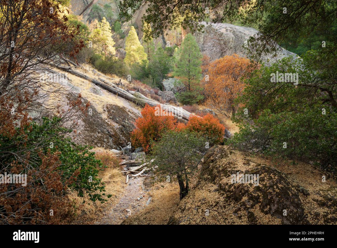 Pinnacles National Park en Californie Banque D'Images