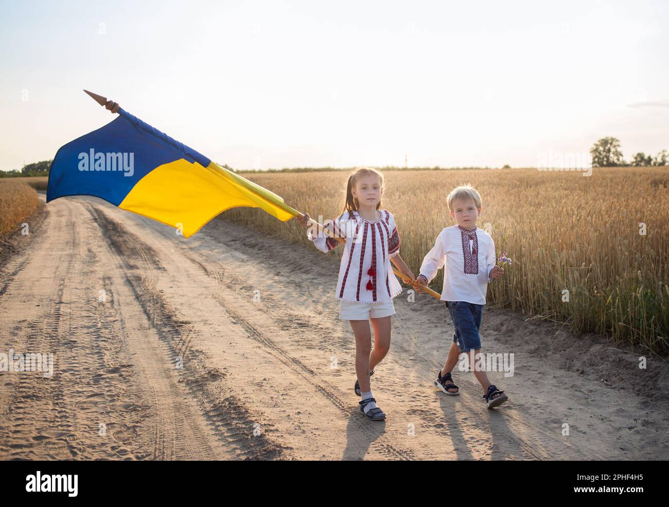 Les enfants vêtés de vêtements nationaux marchent le long d'un champ de blé portant un grand drapeau ukrainien bleu-jaune. unité, soutien, éducation patriotique. Les Ukrainiens le sont Banque D'Images